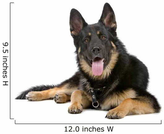 German Shepherd Dog Sticking Out Tongue Wall Decal