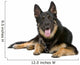 German Shepherd Dog Sticking Out Tongue Wall Decal