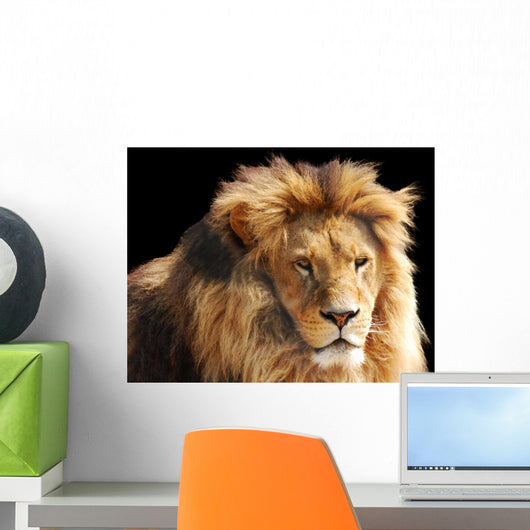 Lion Head Wall Mural