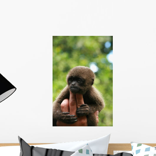 Monkey and Fingers Wall Mural