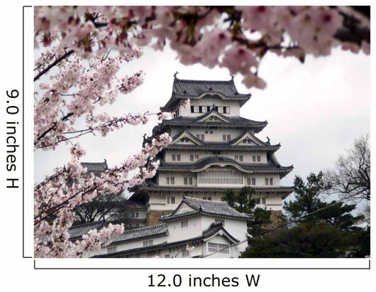 Japanese Castle During Cherry Blossom Wall Mural