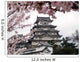 Japanese Castle During Cherry Blossom Wall Mural