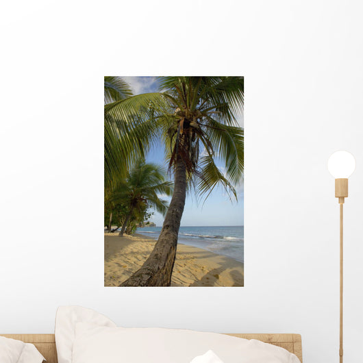 Caribbean, Magazine Beach Wall Mural