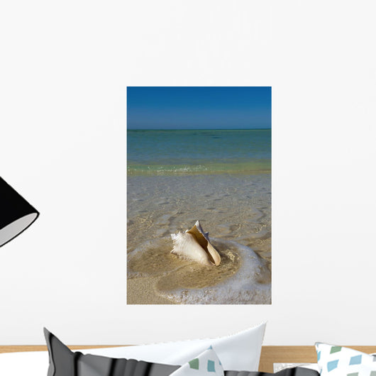 USA, Florida, Florida Keys, Conch shell on sandy beach Wall Mural