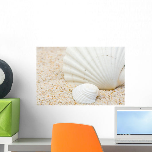 Sea Shells Beach Wall Mural