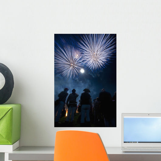 People watching fireworks at Nevill Junior Bonfire night Wall Mural