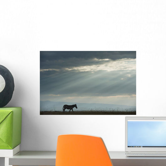 Kenya, Side view of zebra in Ol Pejeta Conservancy Wall Mural