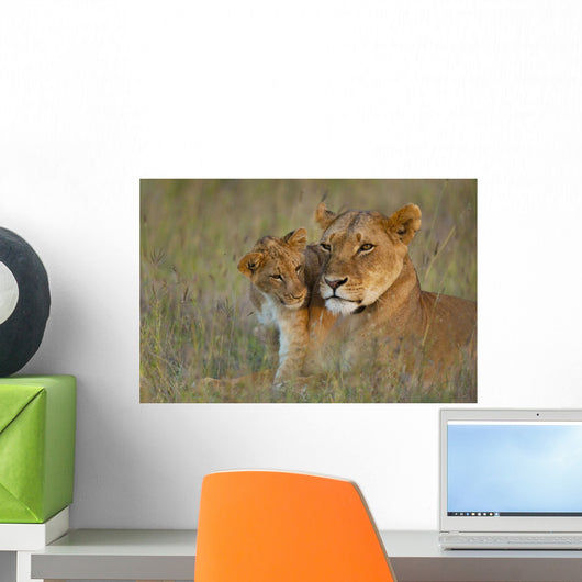 Kenya, Lioness with cub at dusk in Ol Pejeta Conservancy Wall Mural