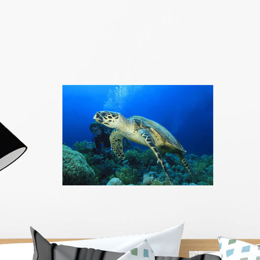 Hawksbill Turtle with Scuba