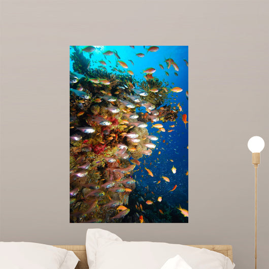 Underwater Coral Reef Wall Decal