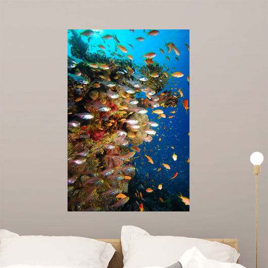 Underwater Coral Reef Wall Decal