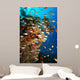 Underwater Coral Reef Wall Decal