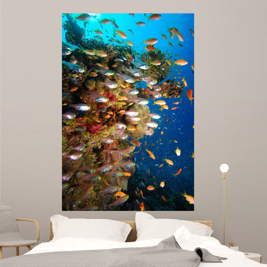 Underwater Coral Reef Wall Decal
