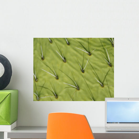 Cactus Pattern