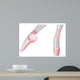 Ballet Shoes Wall Decal
