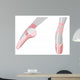 Ballet Shoes Wall Decal