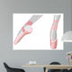 Ballet Shoes Wall Decal