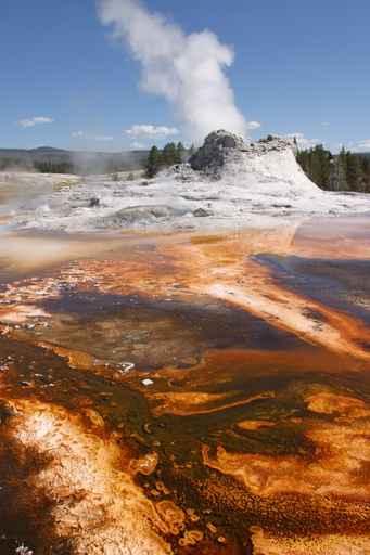 Castle Geyser Wall Decal Design 2