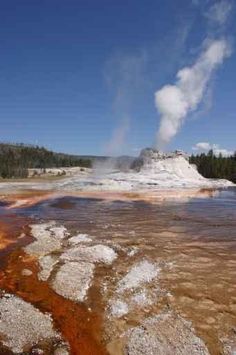 Castle Geyser Wall Decal Design 1
