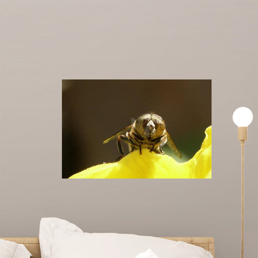 Abeille De Face Wall Mural