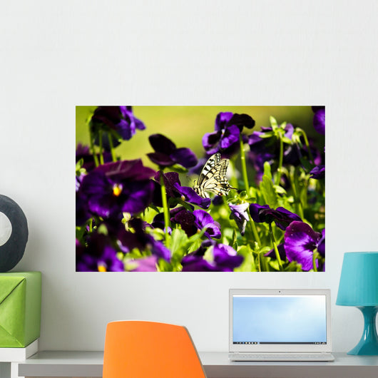 beautiful butterfly Wall Mural