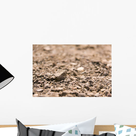 Stone dust Wall Mural