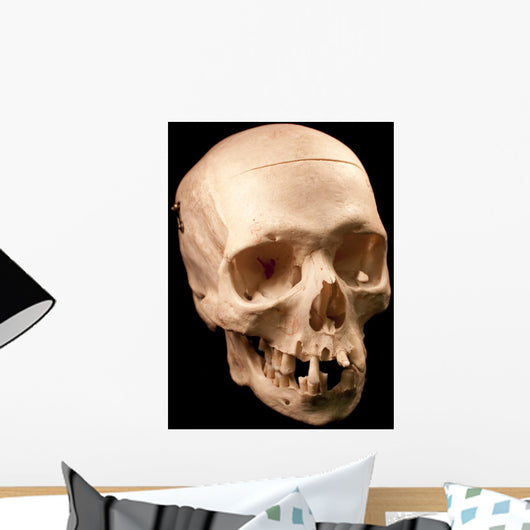 Skull Wall Mural