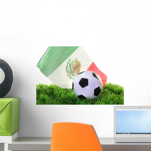 2010 World Cup Wall Mural