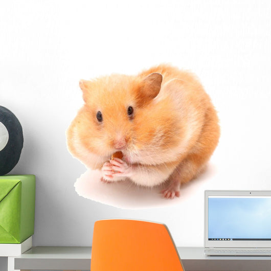Funny Hamster Wall Decal