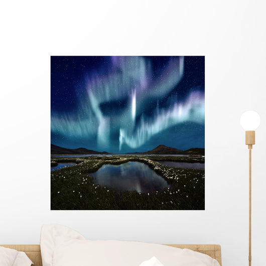 Aurora Borealis Wall Mural