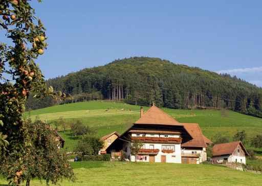 Black Forest Farm Wall Decal