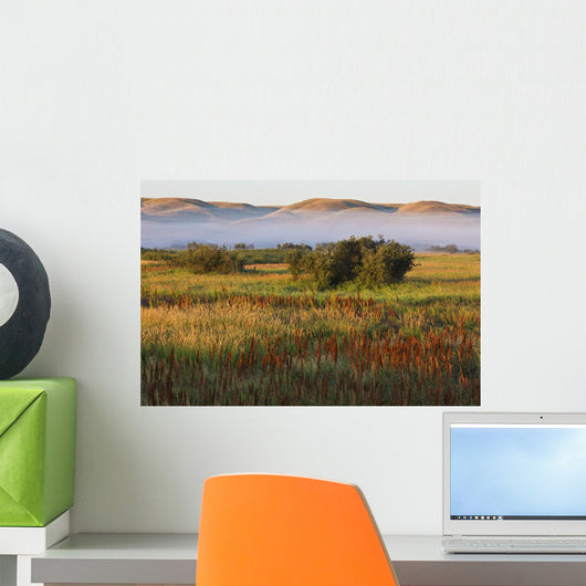 Mist At Sunrise Wall Mural