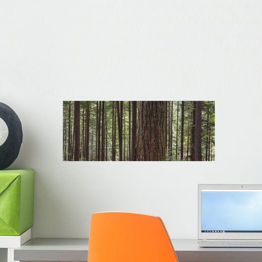 Forest Wall Mural