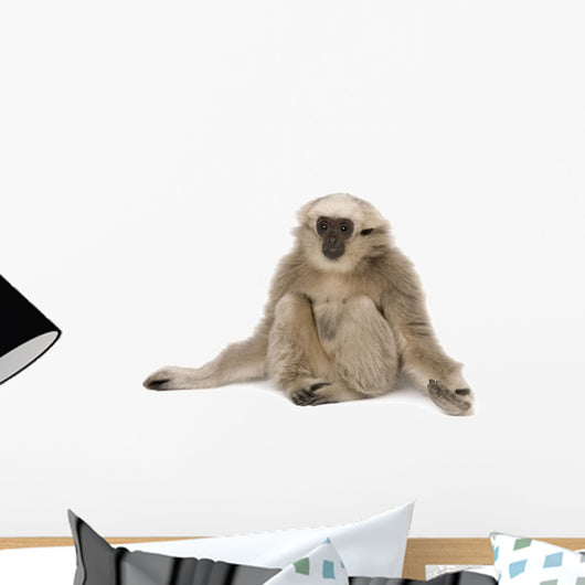 Young Pileated Gibbon 4 Wall Decal