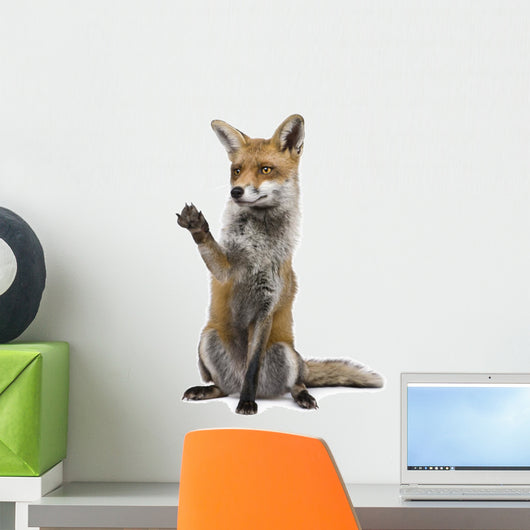 Red Fox Wall Decal