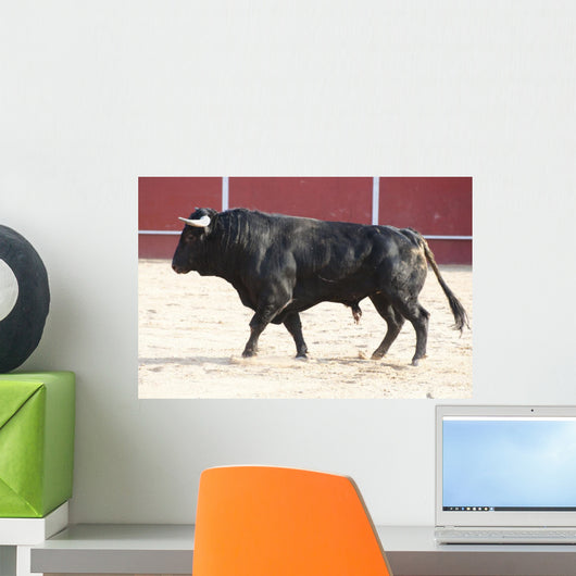 Fighting bull Wall Mural