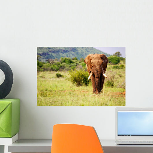 Walking Elephant Wall Mural