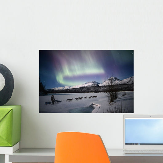 Scenic View Of Dog Team Mushing Wall Mural