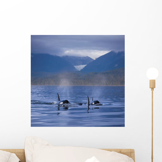Composite Wall Mural