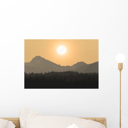 Silhouette Of A Floatplane Wall Mural