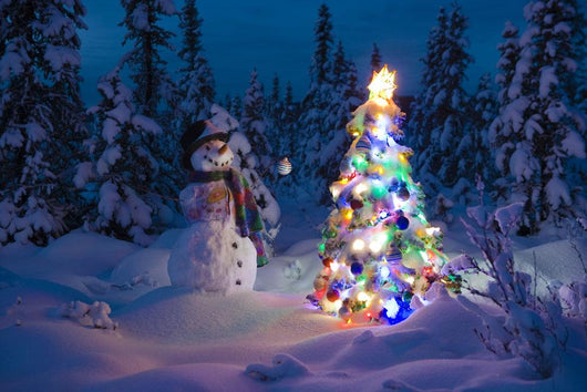 Snowman Stands Wall Decal 2