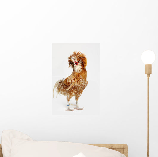 rooster Wall Mural