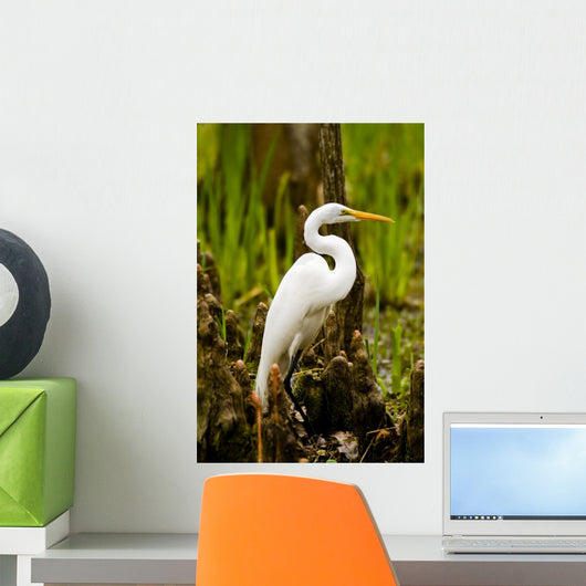 Snowy Egret and Cypress Wall Mural