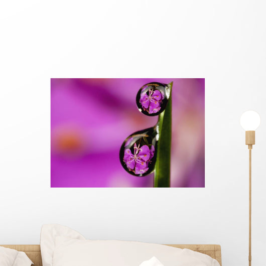 Extreme macro view of fireweed bloom magnified Wall Mural