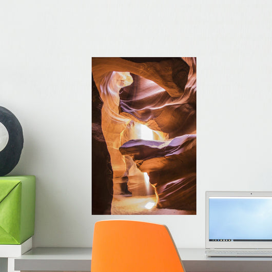 A scene Wall Mural