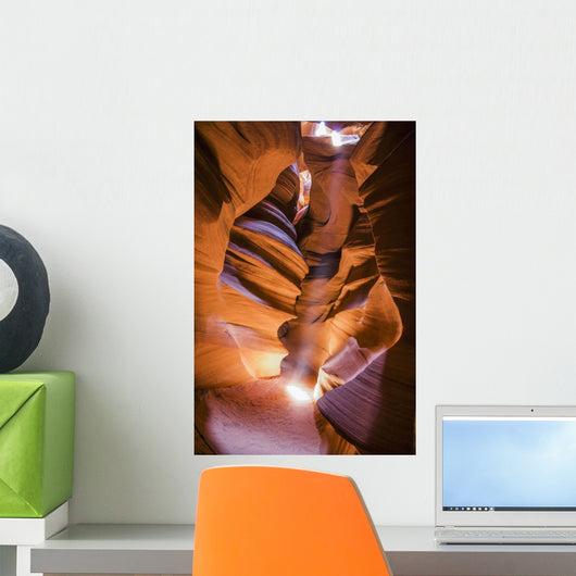A scene Wall Mural