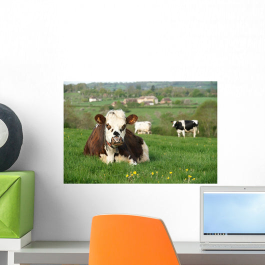 Cow Farm Animal 28 Wall Mural
