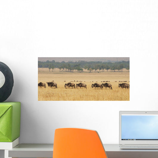 Migration of wildebeest;Maasai mara kenya Wall Mural
