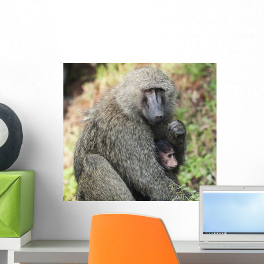 A monkey with it's baby Wall Mural