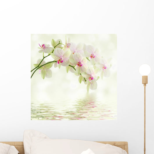 White Orchid Light
